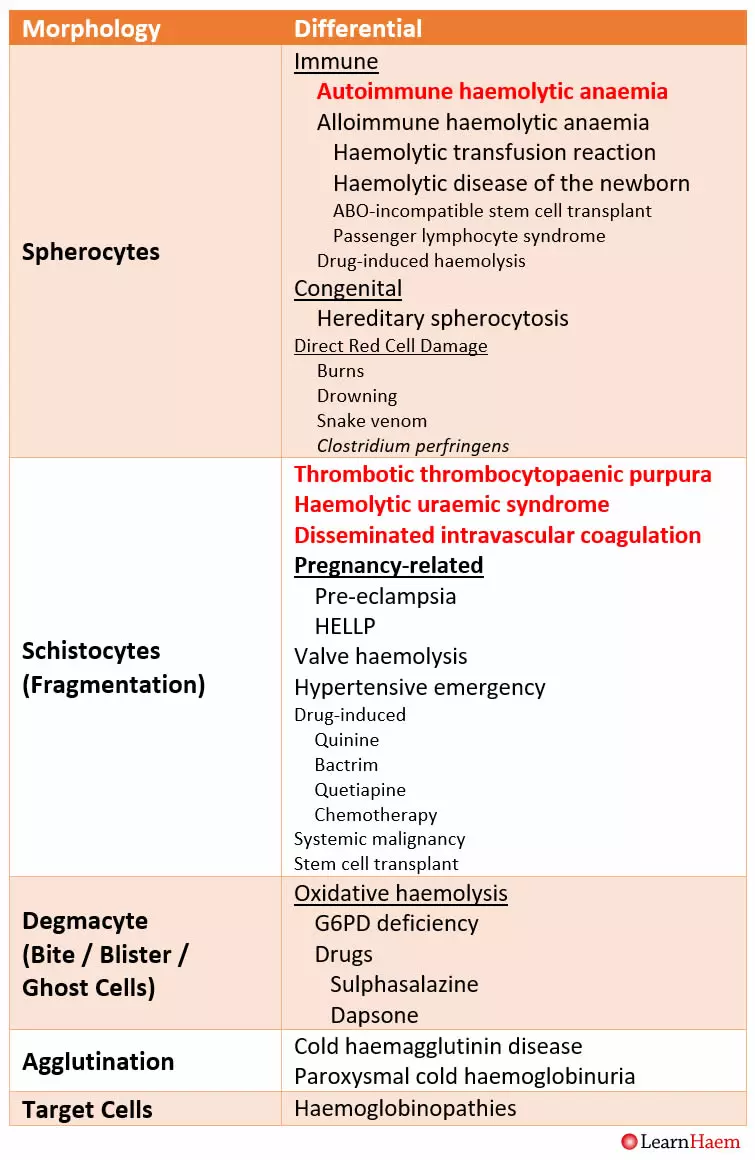 Morphological features of haemolysis and their associated differentials.